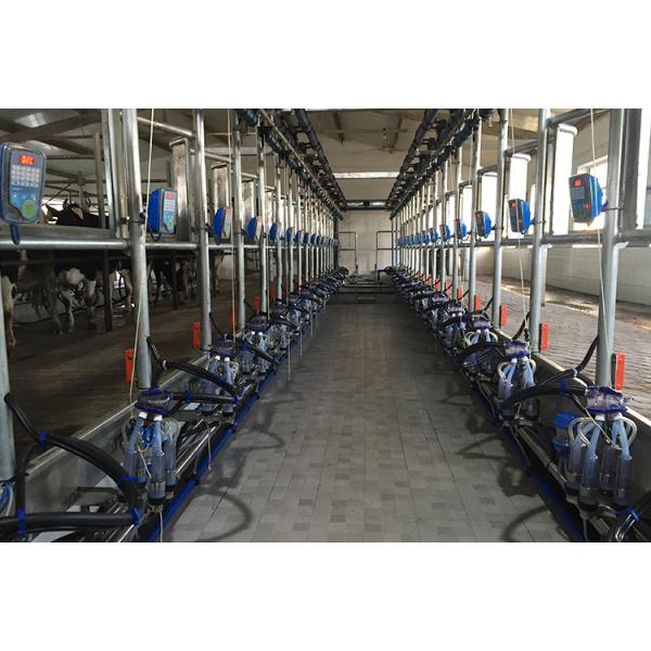 Electric goat Herringbone Milking Parlor with Automatic system