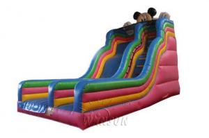 Wholesale Mickey Theme Commercial Inflatable Slide , 0.9mm PVC Big Blow Up Slide from china suppliers