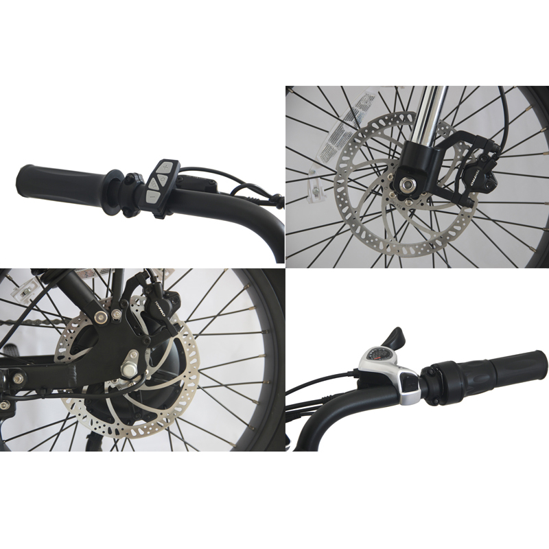 48V 13Ah Electric Dirt Bike Adult 750W 1000W High Speed Bicycle with 20inch Fat Tire