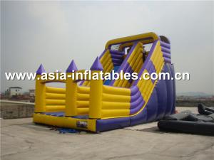 China Hot Sale Inflatable Dry Slide With Arch Doors For Chidlren Park Outdoor Games on sale