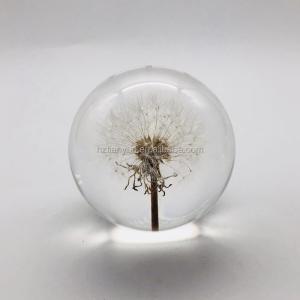 Wholesale Home Decoration Dandelion Paper Weight , Acrylic Flower Resin Paperweight from china suppliers