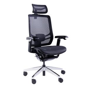 China 5D Armrest Lumbar Support Adjustment Desk Chair High Back Swivel Office Chairs on sale