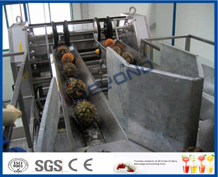 Wholesale High Efficient Pineapple Processing Line With Pineapple Cutting Machine from china suppliers