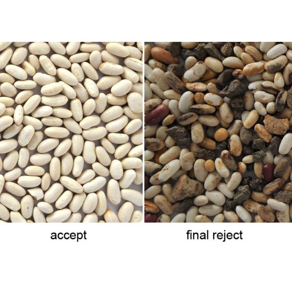 Hons CCD Coffee Bean Color Sorter Machine With 5000 Pixels CCD Sensor