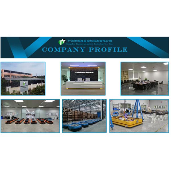 Load 1T Combined Single Lift Backpack Industrial AGV Trolley Customization