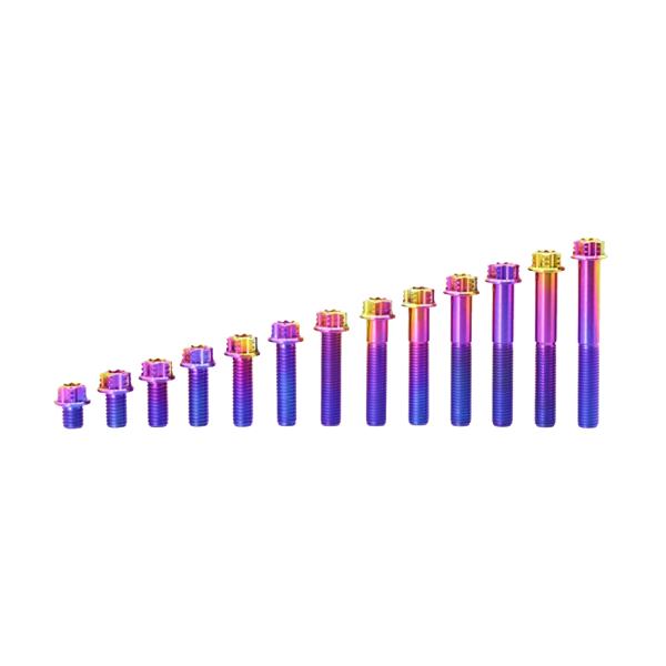 Titanium Button Head Bolt M5x8mm Torx Drive with Rainbow Finish and Vacuum Nitriding Surface