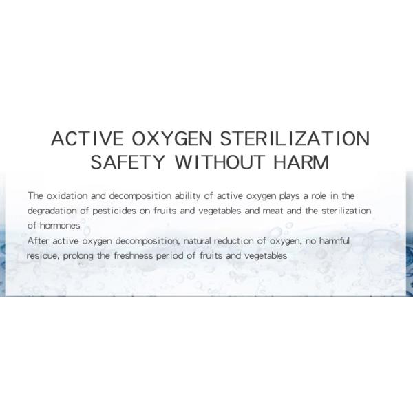 HOMEFISH Commercial Air Purifier Kitchen Use Active Oxygen Fruit And Vegetable Sterilizing Machine 400mg/H