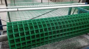 Wholesale 1x1 Pvc Coated Heavy Duty Welded Wire Mesh Panels For Cages With Small Hole from china suppliers