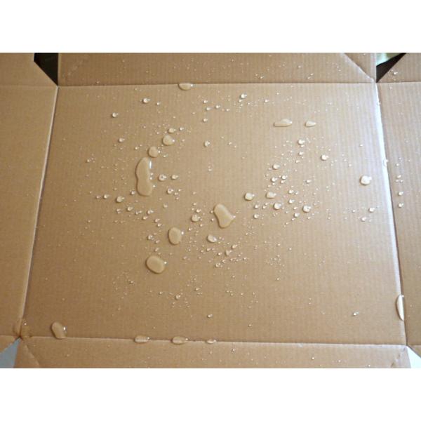 Sea food box wax coating machine YST-1B2