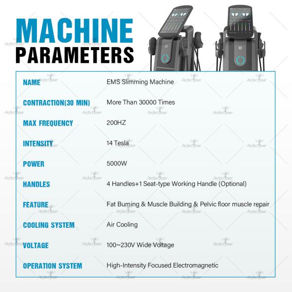 Ce / Fda Big Screen Professional Ems Muscle Stimulator Handsome Increase Building Pelvic Floor Training Machine