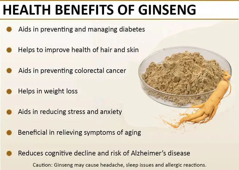 Ginseng Extract Powder 10%-80% Ginsenoside