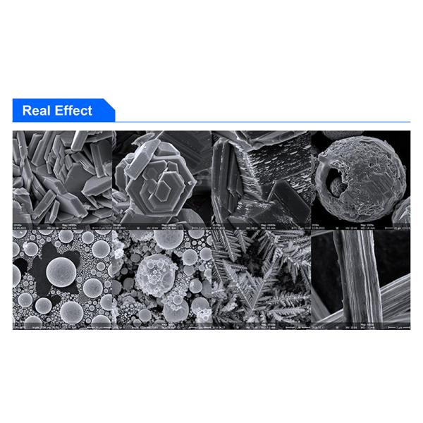 1x~3000000x Scanning Optical Microscope Digital Five Axis Motorized Stage A63.7081