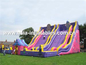 Wholesale Giant Inflatable Slide For Kids School Amusement Games from china suppliers