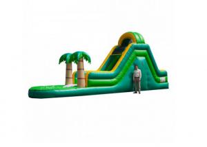 Wholesale Outdoor Party Big Inflatable Water Slides , Tropical Backyard Inflatable Water Slide from china suppliers