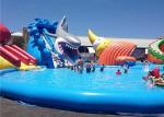 Customized Inflatable Water Parks , Giant Shark Inflatable Swimming Pool With