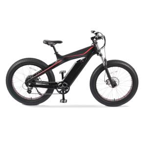 Wholesale Kontax 26inch Fat Tire E Bike with Lithium Battery Power Supply and 48V 750W Motor from china suppliers