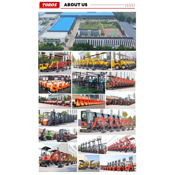 TE-10 Mini Excavator Latest one-ton mini excavator，New mechanical structure，Thickened tracks