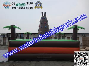 Wholesale Giant Inflatable Sport Games , Inflatable Climbing Wall 6M x 6M from china suppliers