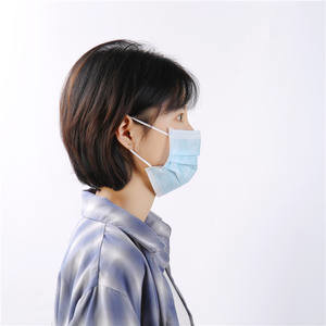 Type II Cleanroom Disposable Earloop Face Mask