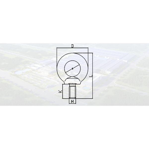 SLRO54-G80 EYE SCREW