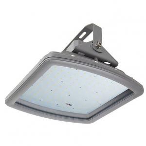 Wholesale 0.98 Led Explosion Proof Light Fixture 100W Meanwell Battery from china suppliers