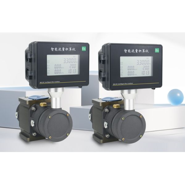 OEM Customizable Roots Flowmeter for Yunyi Smart Intelligent Digital LPG and Natural Gas Measurement