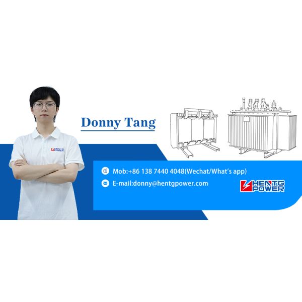 High Capacity Three Phase Pad Mounted Transformer for Industrial Parks and Factories