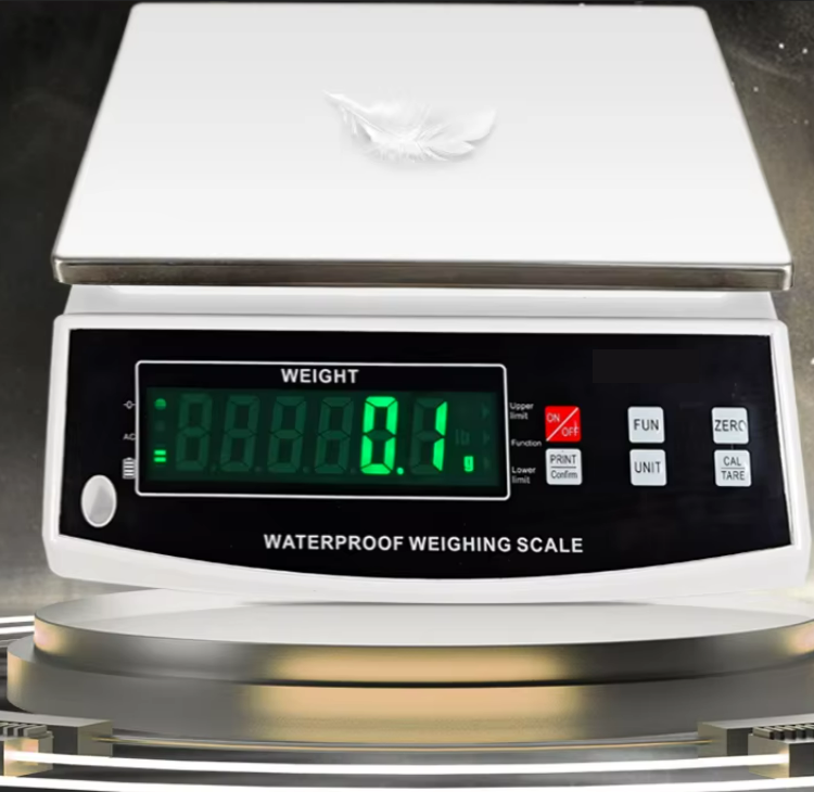 Waterproof Acs Price Scale Double Display Industrial Weighing Scale