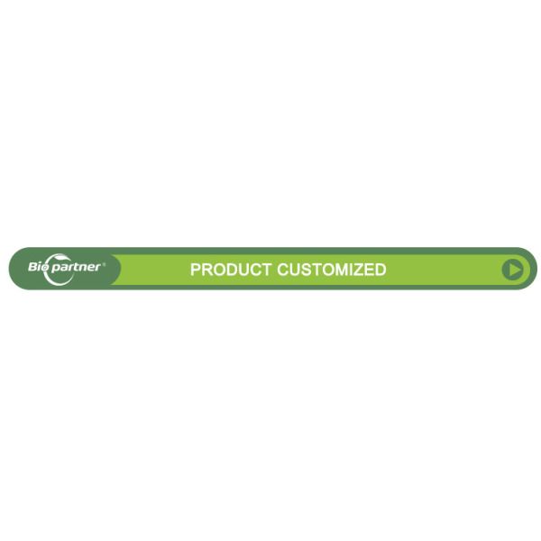 Customized Size Take away Food Packaging Hinged Plastic PP MFPP Disposable food Container