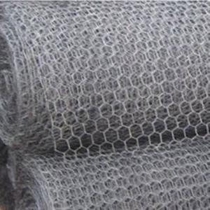 China Iron Material Hexagonal Wire Mesh Netting Galvanized PVC Coated For Chicken Fence on sale