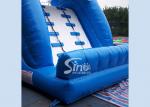 5m high commercial grade Inflatable Backyard Water Slide with Double Dolphinfor