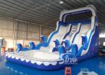 Double Lanes Inflatable dolphin Water Slides with pool EN14960 For Adults and