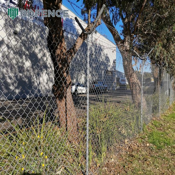 Galvanized Chain Link Fence Cost-effective