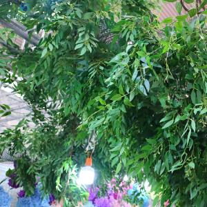 Wholesale Green Artificial Tree Branches And Leaves / Artificial Willow Tree Strip from china suppliers