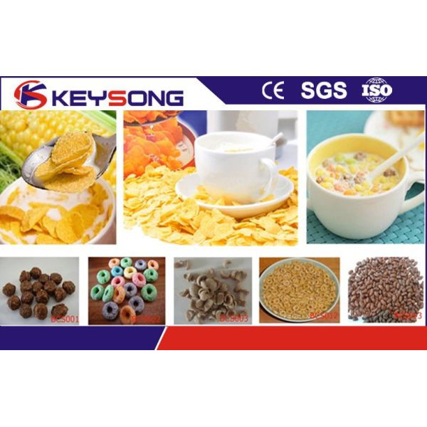 Custom Corn Flakes Production Machine , Twin Screw Extruder Corn Flakes Processing Line