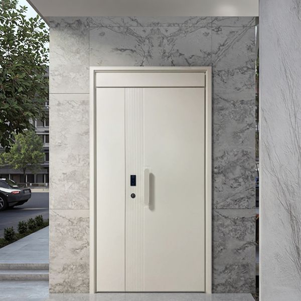 Wood Grain Transfer Steel Security Door Hotel Exterior Design