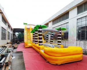 Wholesale ODM Outdoor Inflatable Water Slides Giant Long Palm Tree Bounce House from china suppliers