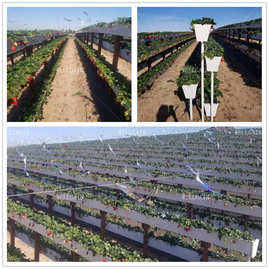 Greenhouse Trapezoidal PVC Strawberry Growing Troughs Vertical Tomato Growing Trough