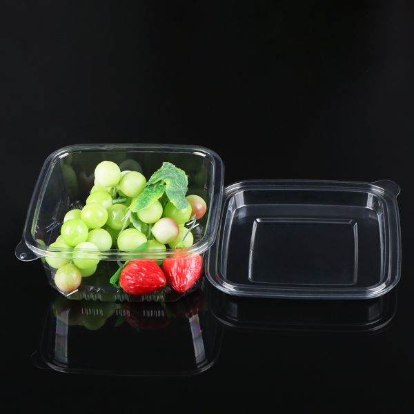 Clamshell Blister Packaging Tray Customized Disposable Clear