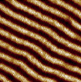 Wafer-Level Atomic Force Microscoperoscope