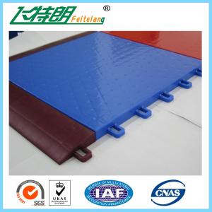 Portable Interlocking Rubber Floor Tiles For Athletic Sports Field 10 Years Using Life