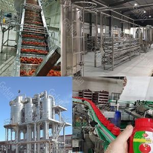 Fully Automatic Fresh Tomato Processing Line Complete NFC Yellow Tomato Juice