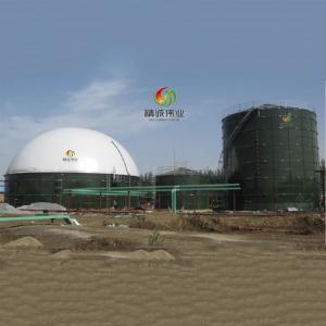 China Biogas Storage Tank Price Biogas Storage Tank Design on sale