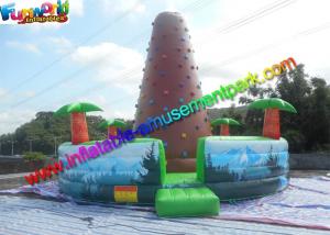 Wholesale Customized Inflatable Climbing Wall , inflatable rock wall With Jungle from china suppliers