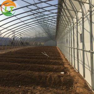 Double Layer Assembly Solar Greenhouse for Vegetable Flower and Tomato
