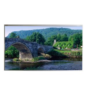 Supplying P215HAN01.1 1920*1080 102PPI TFT LCD Screen