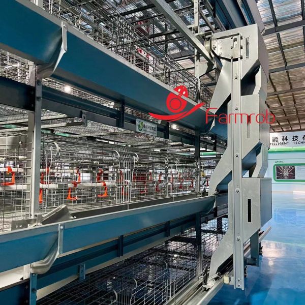30000 Layer Chicken Cage System Smart System