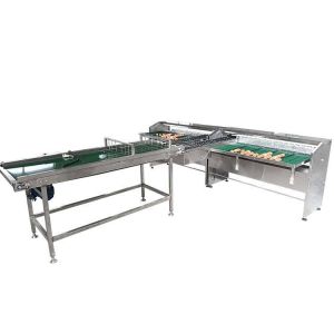 Automatic Egg Sort Grade Weighing And Sorting Egg Machine Egg Grading Process