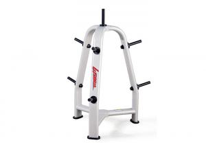 Wholesale Special Gym Rack And Bench , Commercial Training Equipment Weight Plate Tree from china suppliers