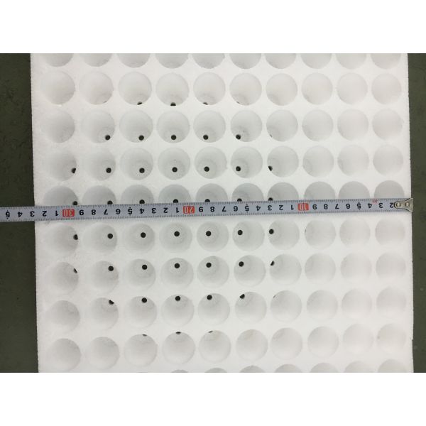 Floating EPS Foam Seedling Tray 160 Cells Germination Tray
